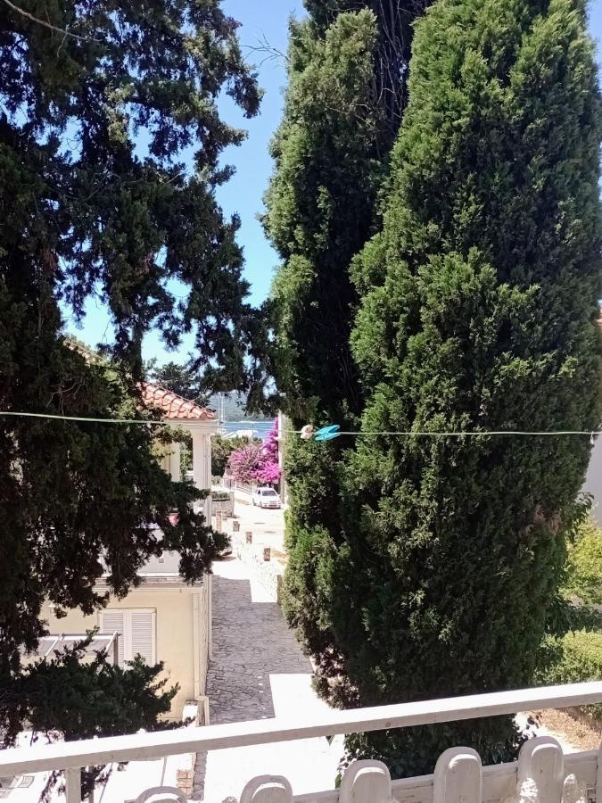 Apartment Brcic Biograd Na Moru Exterior photo
